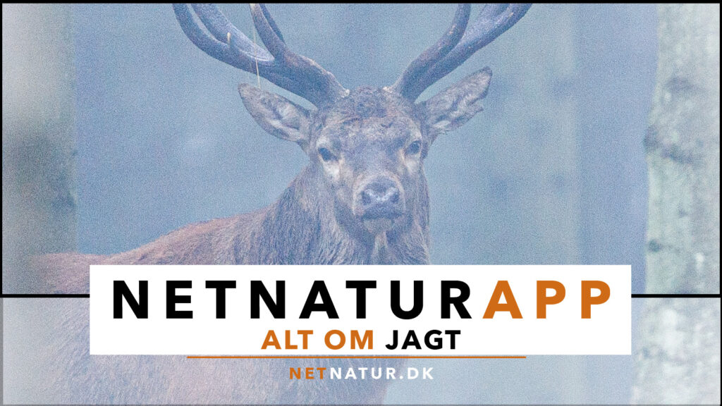 Netnatur App