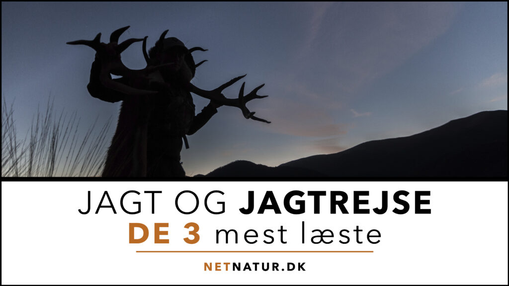 Jagtrejser og Netnatur