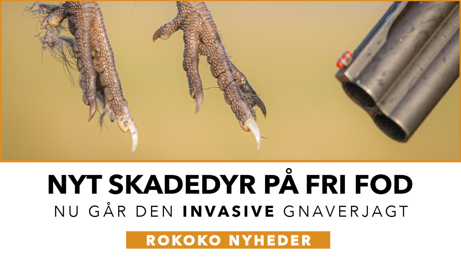 Ny og farlig invasiv art breder sig