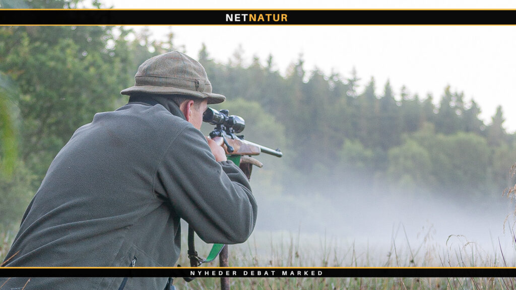 .300Winmag: Gammel soldat på steroider 300