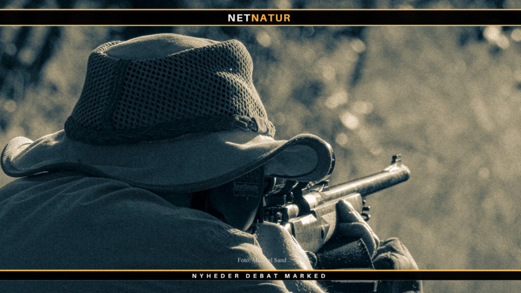 416_Rigby_FMJ__Solid__og_SP