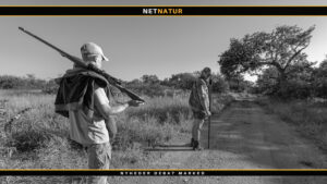 7x57 mm Mauser - også kaldet .275 Rigby