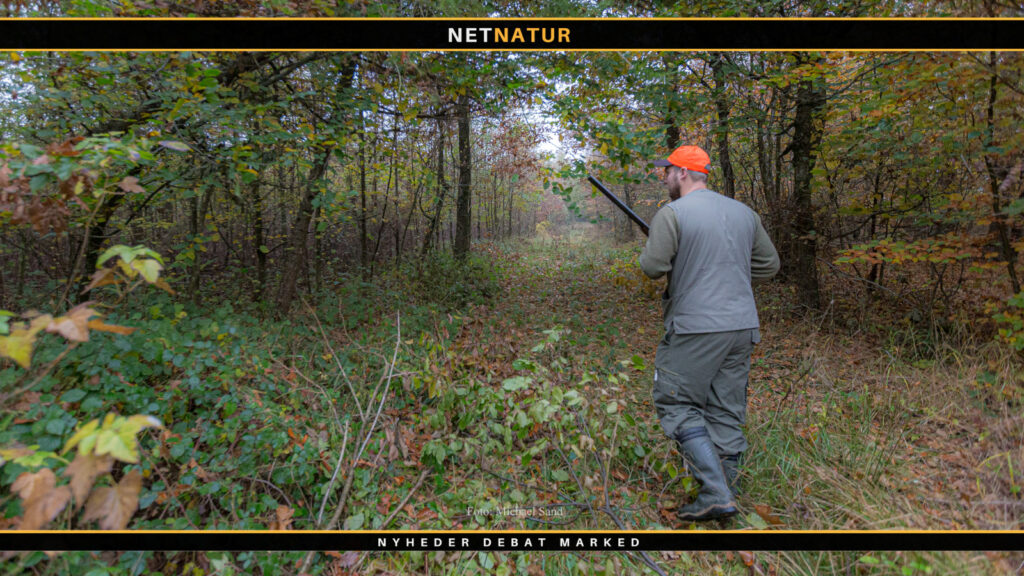 Riffel-, hagl- og buejagtprøver aflyses Masser af ledige pladser til efterårets jagtprøver