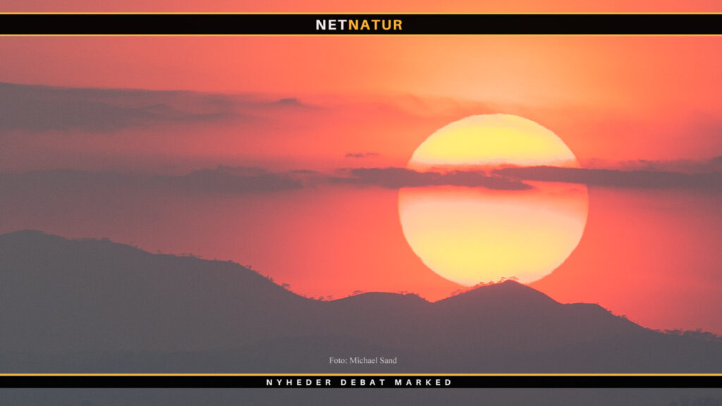 WWF kritiserer asiatiske madmarker med vilde dyr Kødmarked for vilde dyr