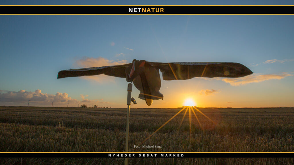 Torben Møller-Nielsen