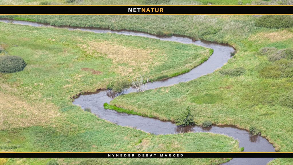 Sprøjtegifte kan for nogle vandindsekter være ren gift Vandløb og insekt