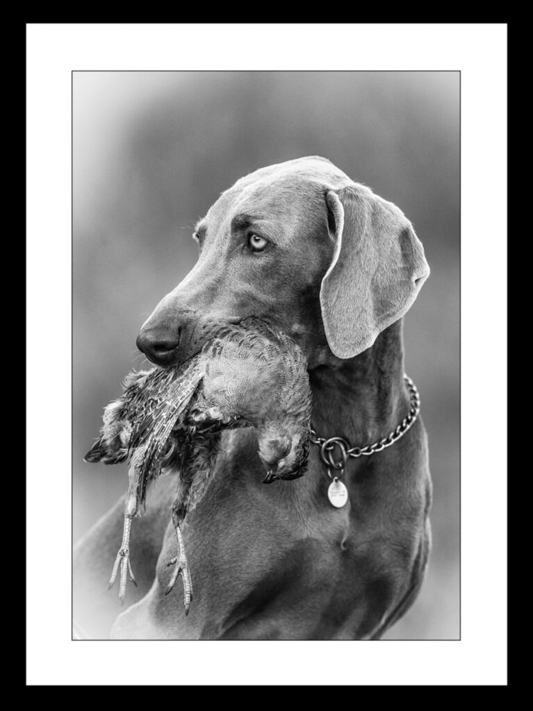 Michael Sand – en fotodagbog