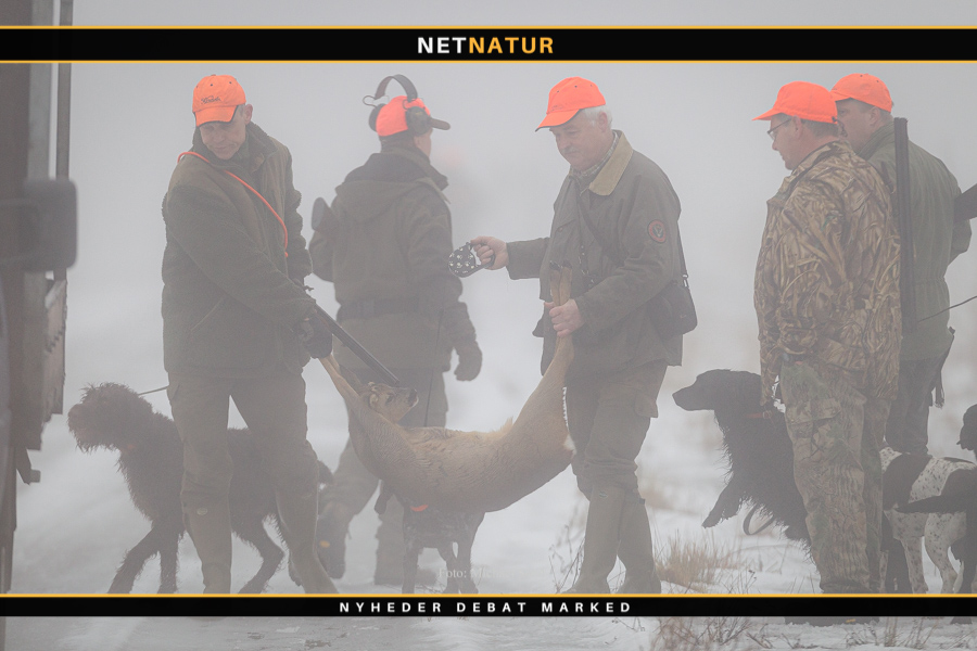 Jagt og Outdoor åbner dørene den 16.-18. oktober