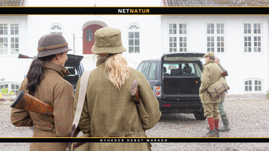 Forventningens glæde