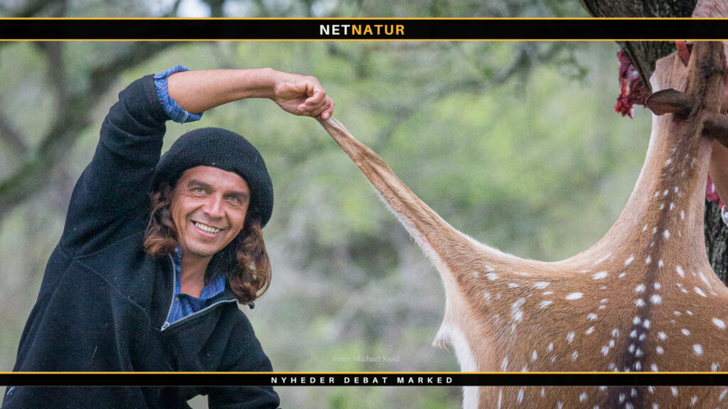 Hårtab kan høre fortiden til