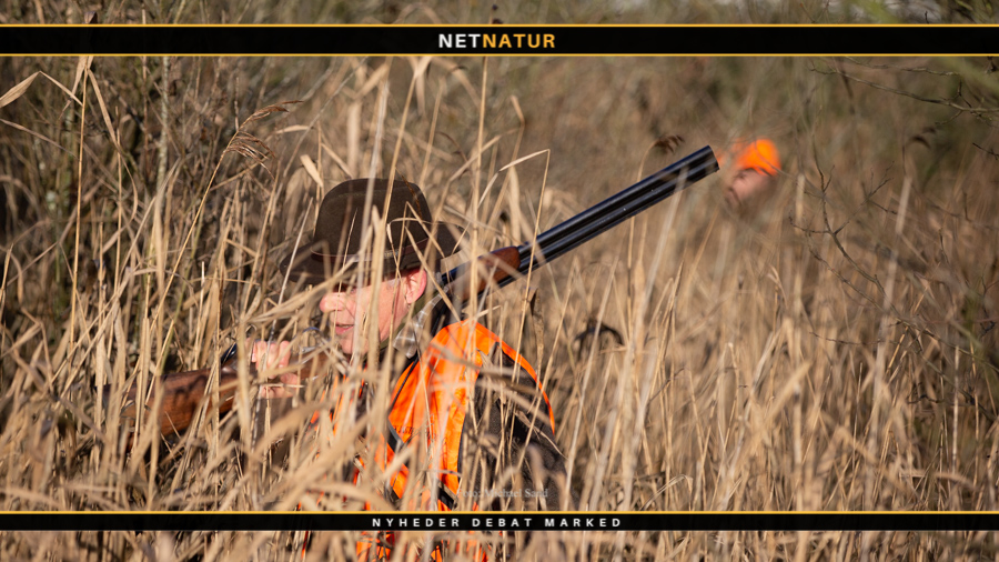 forsikring via jagttegnet