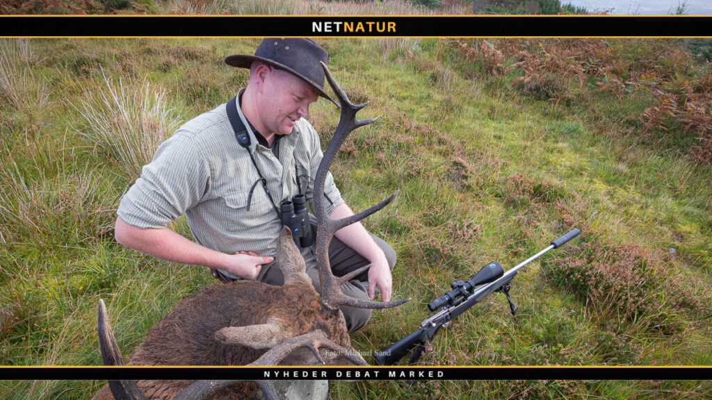 Hjortejagt efter jagten