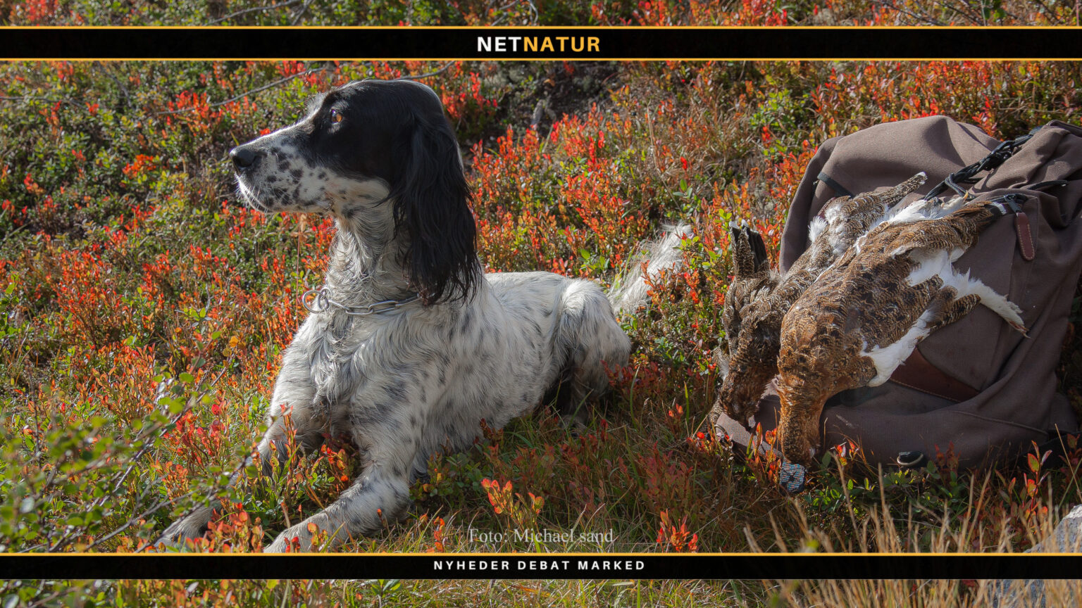 Setter og nedlagte ryper