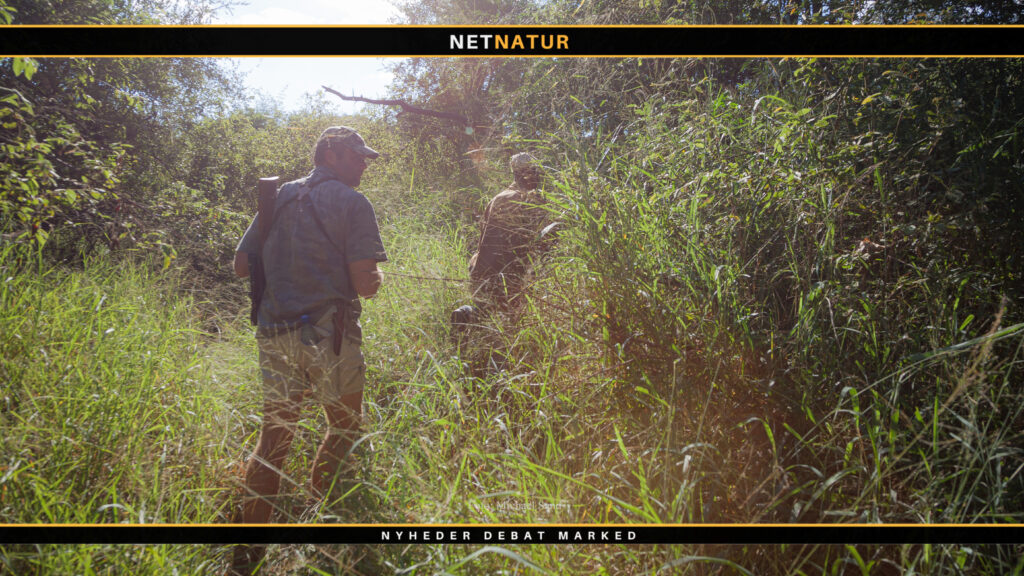 Valg af våben og ammunition til Sydafrika