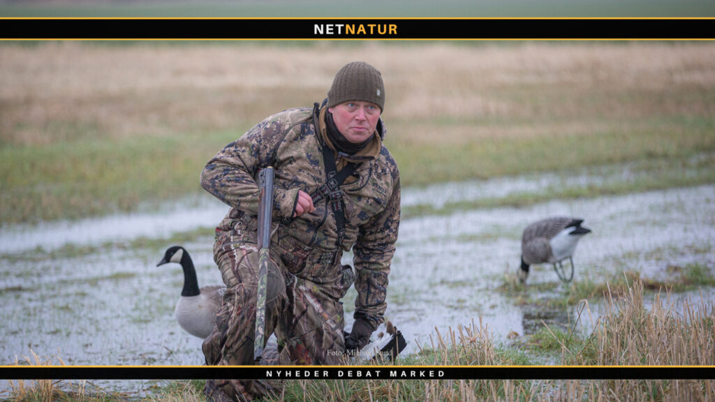 En er nede, nye er på vej