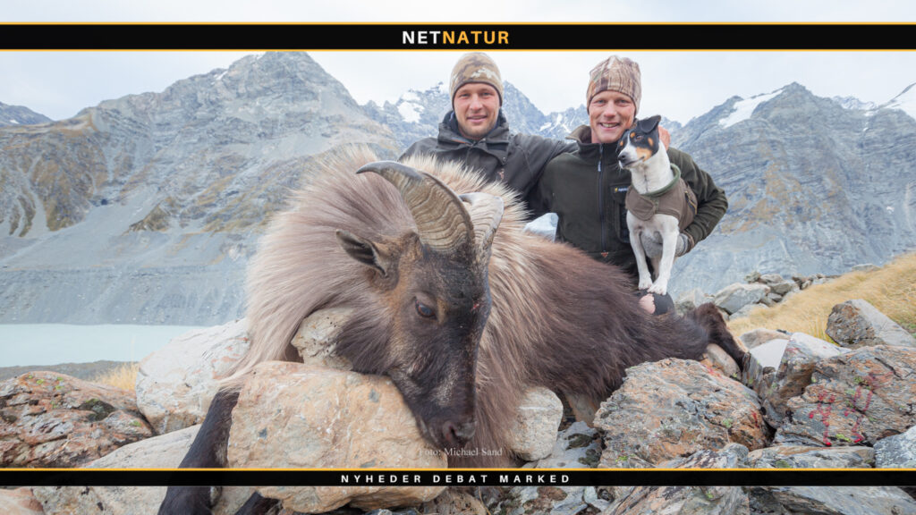 Tahr-film: De er en del af os