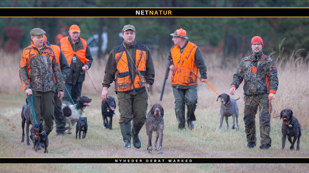 Jagtrelaterede foreninger kan søge støtte Jagtrelaterede foreninger kan søge støtte