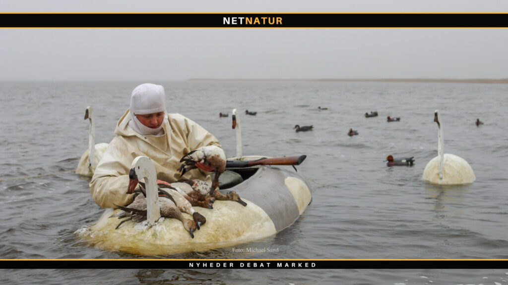 Principaftale om jagt: Borgfred eller tikkende bombe?