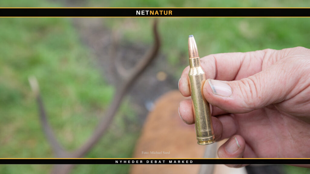 Miljøstyrelsen styrker oplysning om blyfri projektiler til jagt