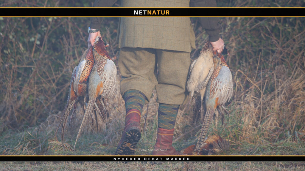 Reglerne for overdragelse af nedlagt vildt