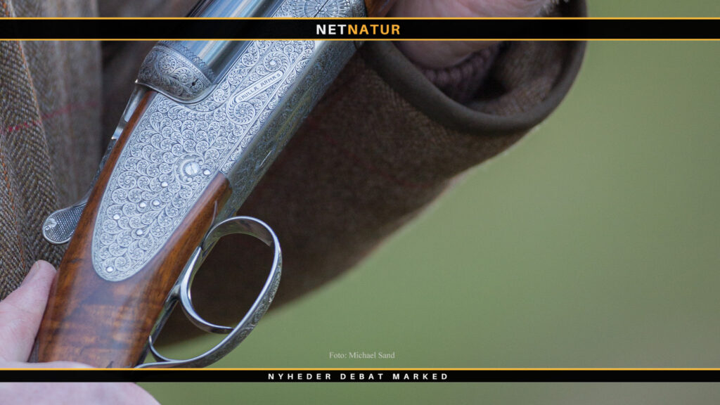 Grouse shooting: The Glorious Twelfth Grouse shooting: The Glorious Twelfth