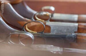 Haglgevær - hvad siger lovgivningen