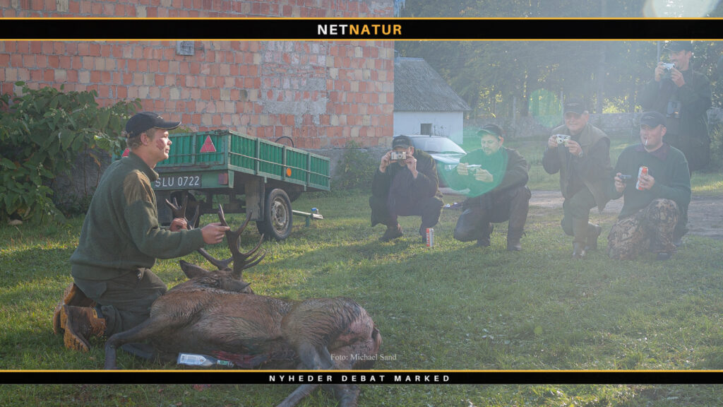 Foto jagt og jagtrejser