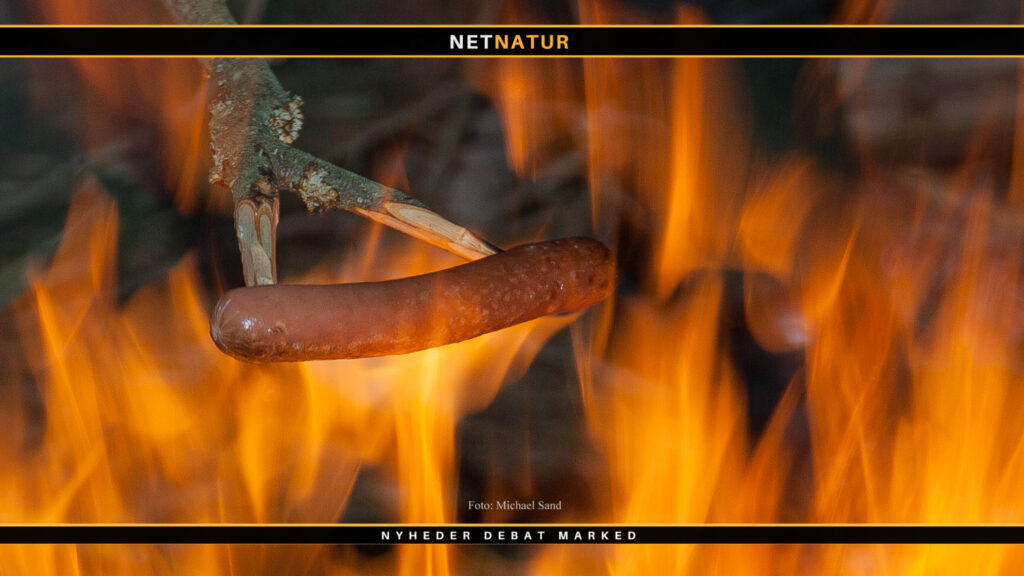 Lav selv dine egne vildt grill pølser LAV SELV DINE EGNE VILDT GRILL PØLSER