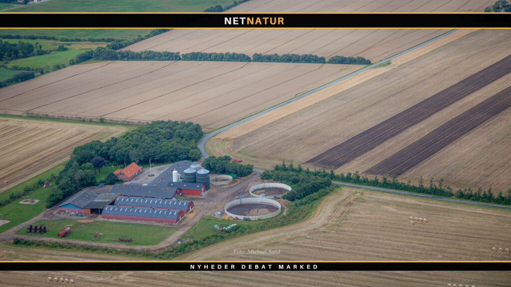 Tiltag for insekter, fugle og vildt