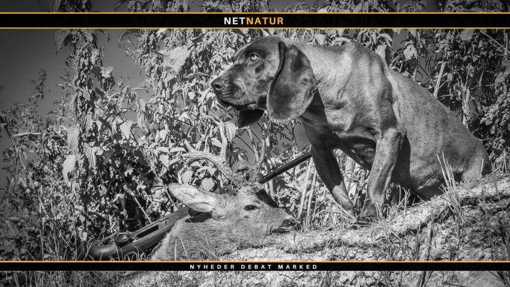 Schweiss-registret fylder rundt