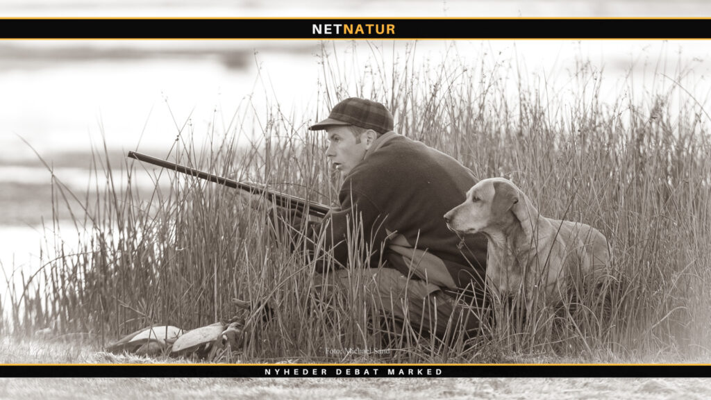 Jagtkort til trækjagt i Skjern Enge