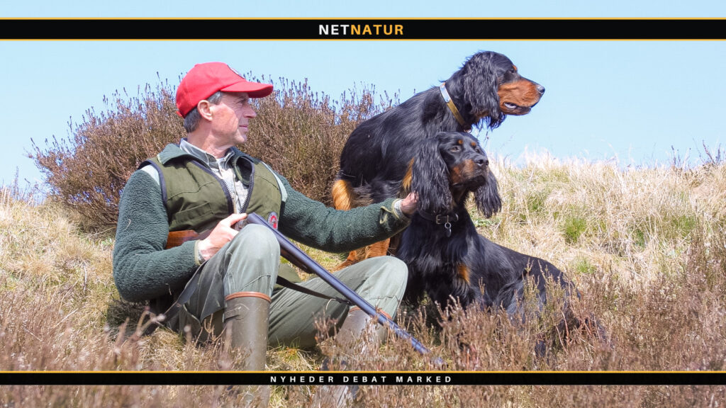 Jagthundens praktiske udseende