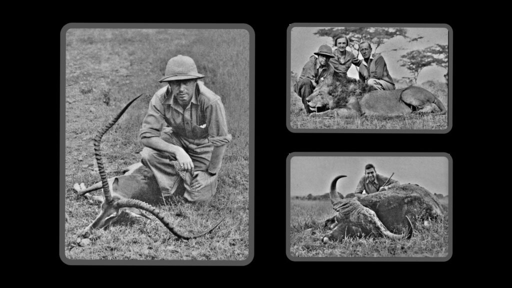 Grev Ahlefeldts safari