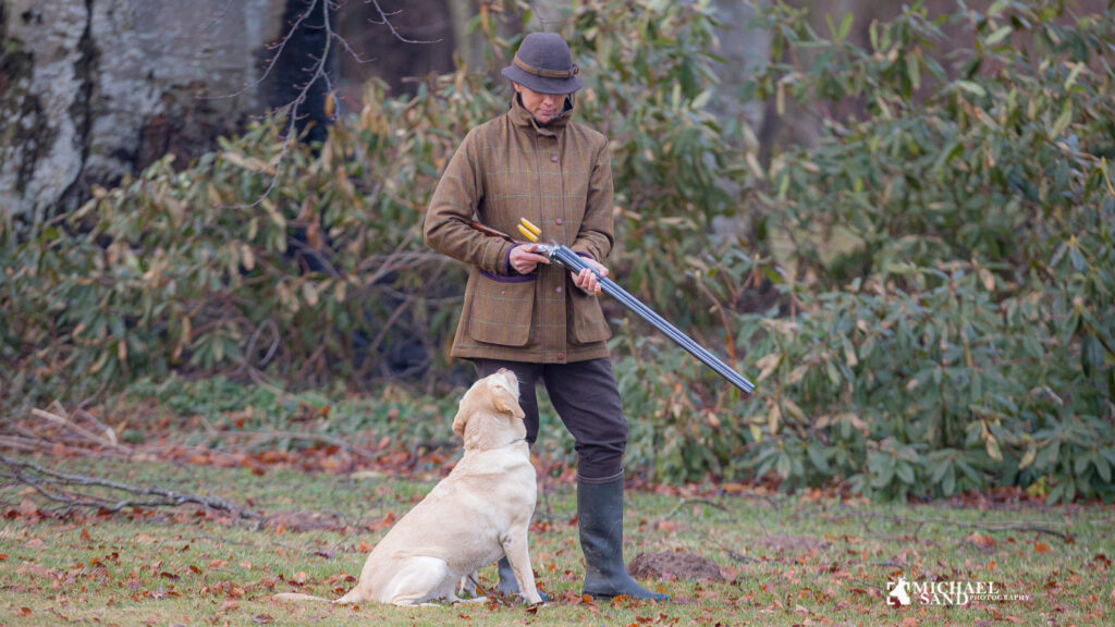 Jagthund: Dressuroversigt