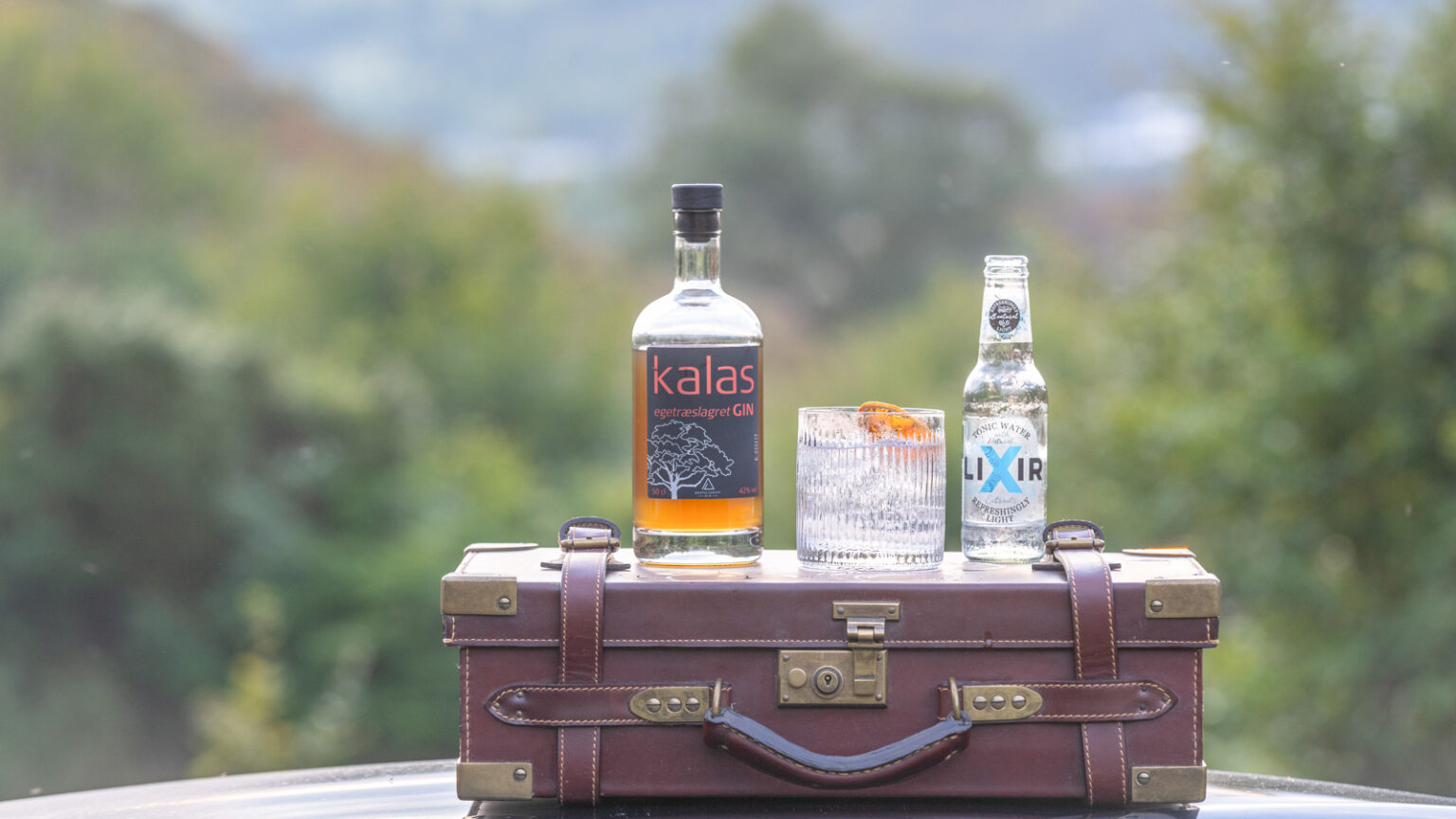 Kalas Gin fortætter international medaljehøst