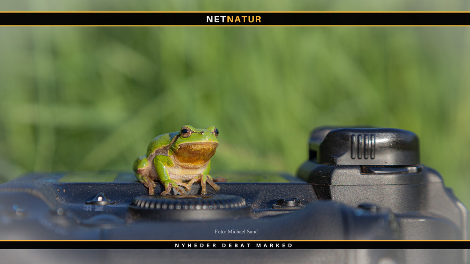 Danskernes egne naturbilleder