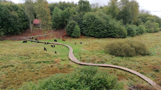 Landbrugsjord bliver våd og vild på Bornholm