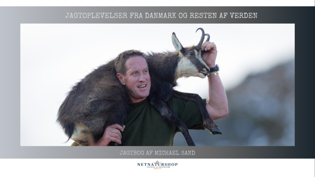 Nedtælling til gemse i New Zealand