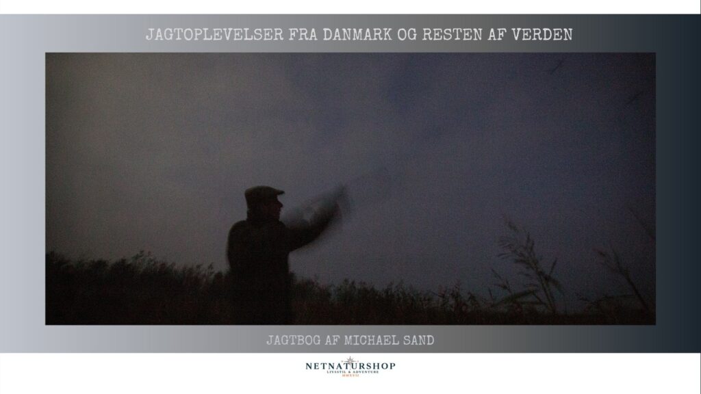 Spidsænder i månelys spidsand