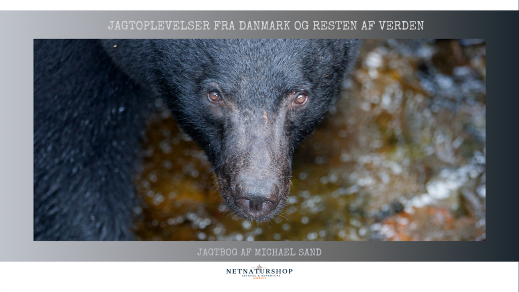 Omringet af bjørn Bjørnejagt: Jagtbog