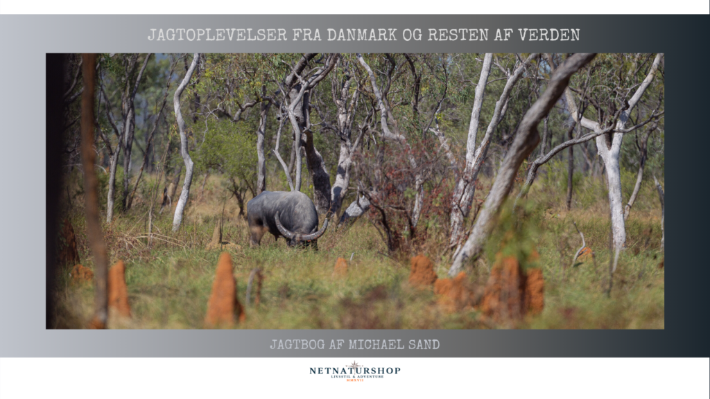 Vandbøffel og australsk dagbog