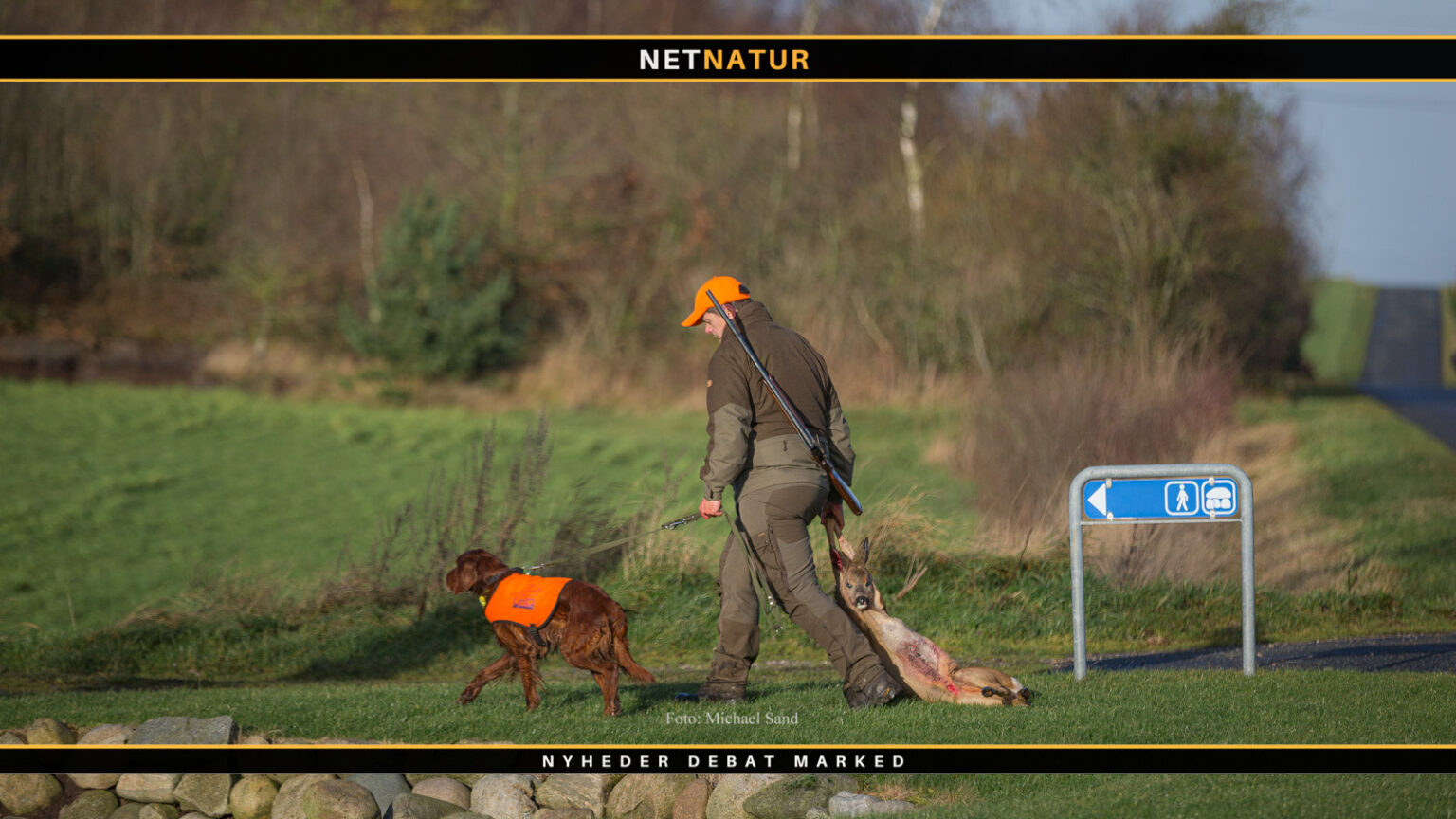 Foto fra jagt og natur