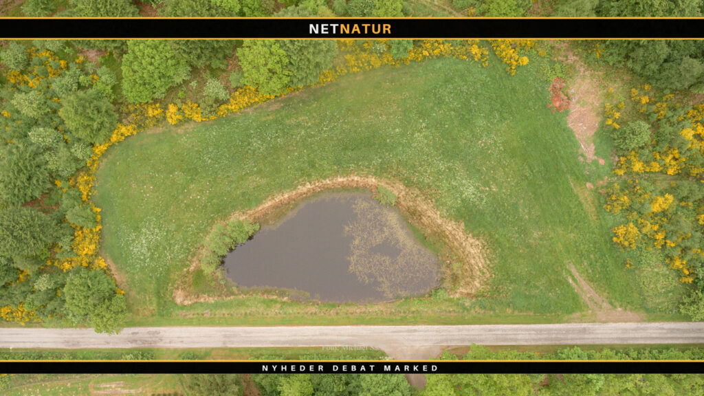 Vildtplantning: Design af remiser og hegn Vildtplantning 3: Design af remiser og hegn