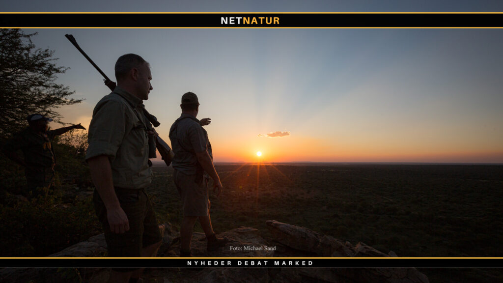 Valg af våben og ammunition til Sydafrika