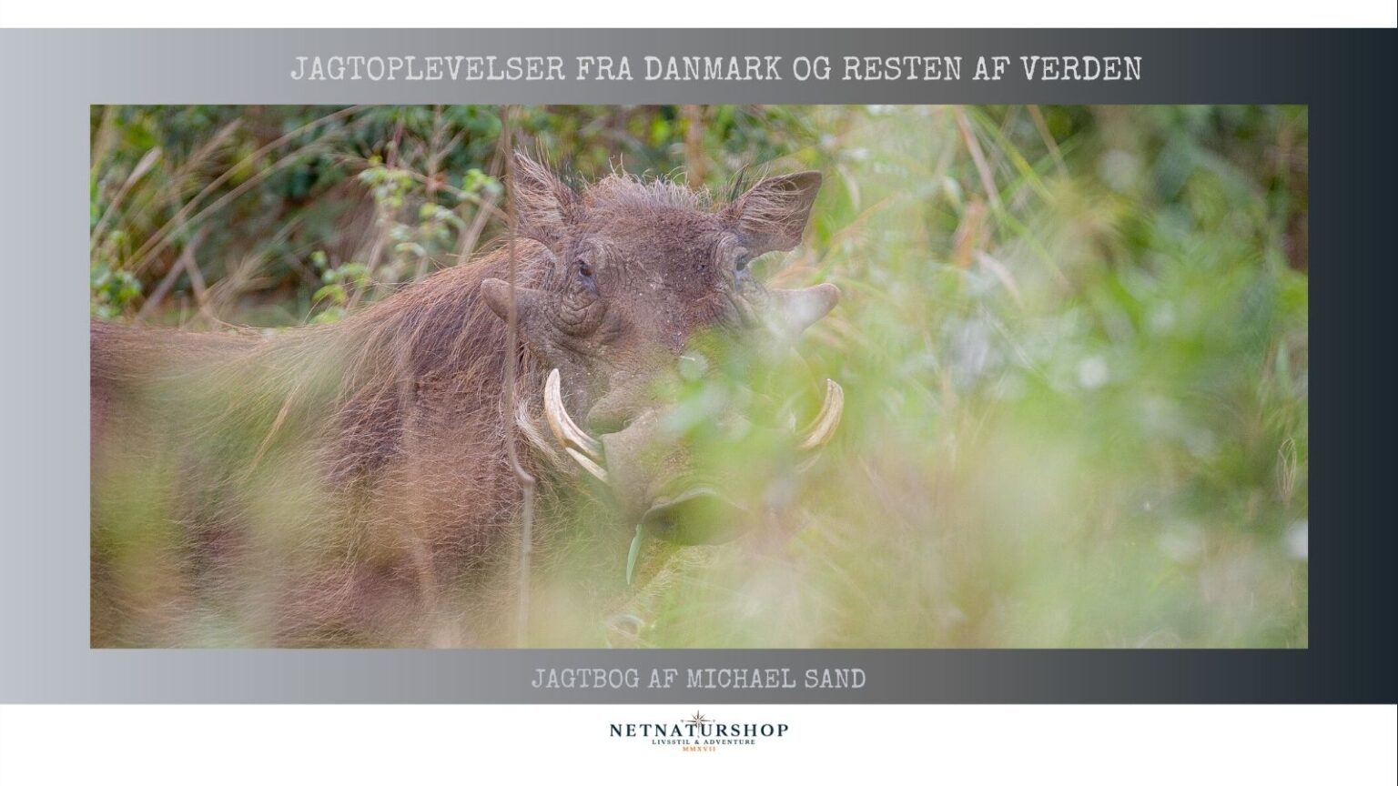 Cullhunt i Sydafrika