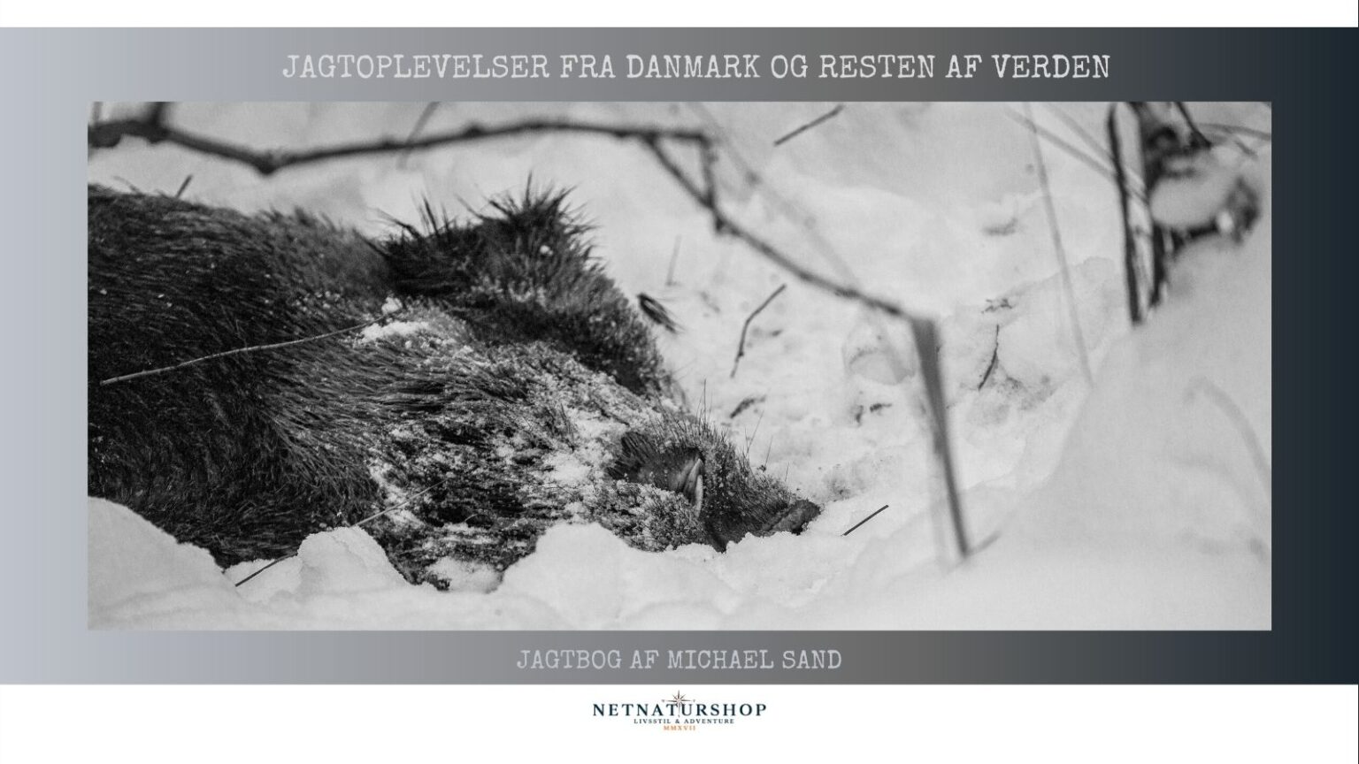 Vildsvin i Tyskland