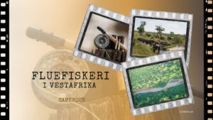 Fluefiskeri i Vestafrika