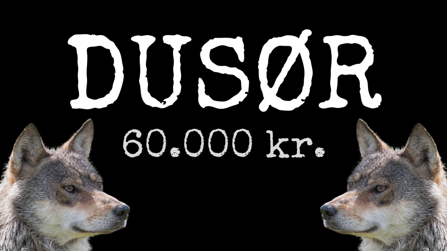 Ulvetid udlodder 60.000 kr i dusør