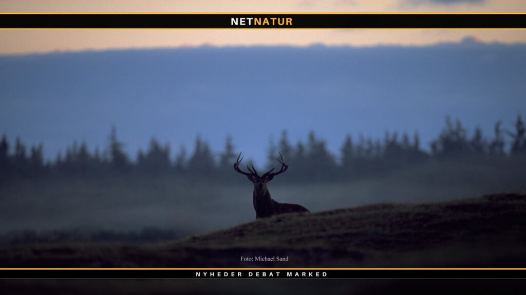 Naturzoner og B-skove