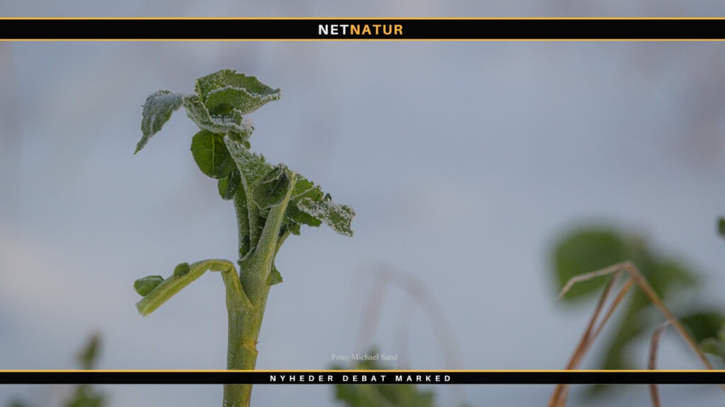 Husk remiserne når jagten er slut